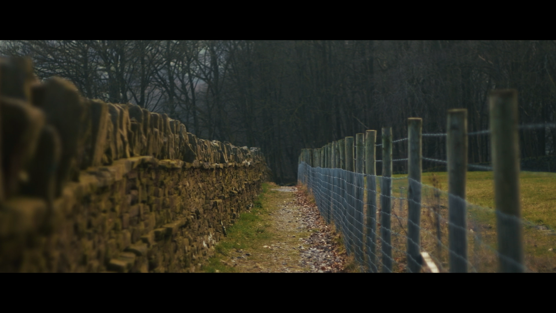 Film 1 Still